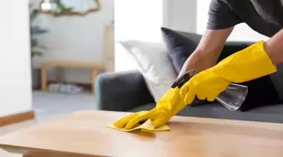 The Art of Furniture Deep Cleaning: A Comprehensive Guide
