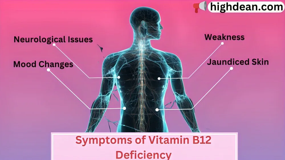 wellhealthorganic.com vitamin b12 @well health organic